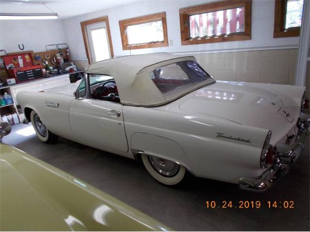 1955 Ford Thunderbird (CC-1391962) for sale in Cadillac, Michigan