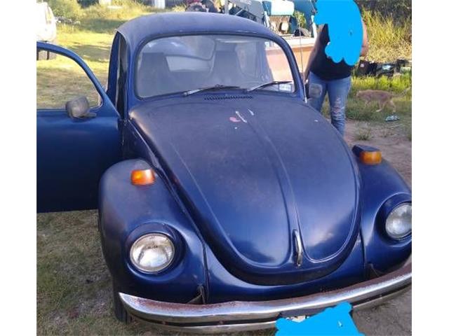 1971 Volkswagen Super Beetle (CC-1392066) for sale in Cadillac, Michigan