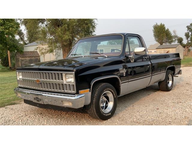 1981 Chevrolet C10 (CC-1392608) for sale in GREAT BEND, Kansas