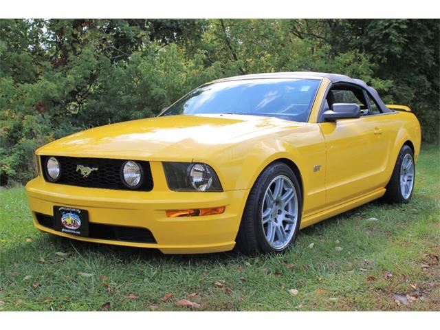 2006 Ford Mustang (CC-1392837) for sale in Hilton, New York