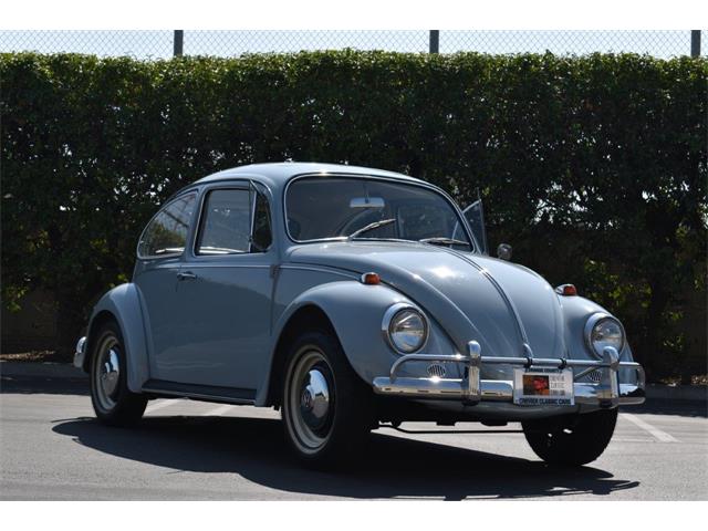 1967 Volkswagen Beetle (CC-1393075) for sale in Costa Mesa, California