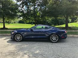 2015 Ford Mustang GT (CC-1390638) for sale in Chalfont, Pennsylvania