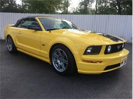 2006 Ford Mustang (CC-1390714) for sale in Saratoga Springs, New York