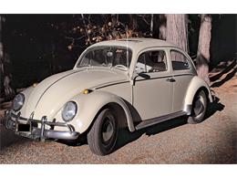 1964 Volkswagen Beetle (CC-1409999) for sale in Volcano, California