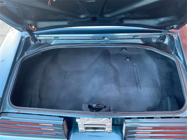 1978 Pontiac Firebird Trans Am (CC-1411405) for sale in Denison, Texas