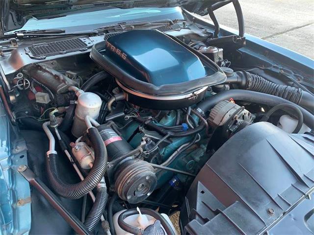 1978 Pontiac Firebird Trans Am (CC-1411405) for sale in Denison, Texas