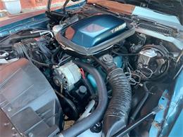 1978 Pontiac Firebird Trans Am (CC-1411405) for sale in Denison, Texas