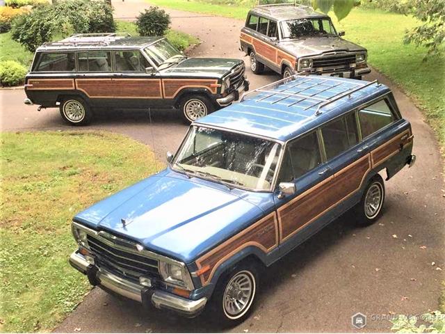 1988 Jeep Grand Wagoneer (CC-1411686) for sale in Bemus Point , New York