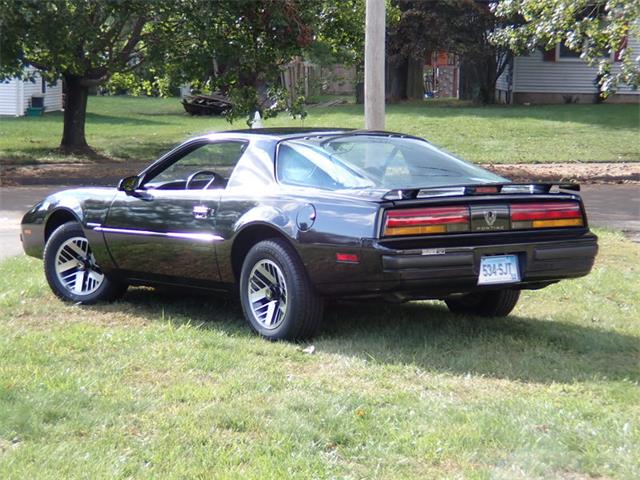 1988 Pontiac Firebird (CC-1411692) for sale in North Haven, Connecticut