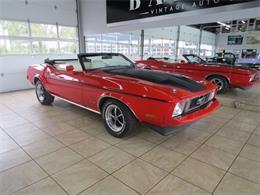 1973 Ford Mustang (CC-1411922) for sale in St. Charles, Illinois