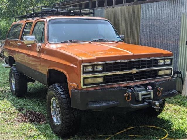 1989 Chevrolet Suburban (CC-1412408) for sale in Cadillac, Michigan