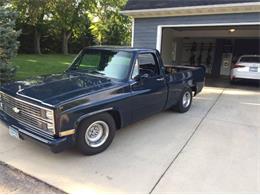 1984 Chevrolet Pickup (CC-1410469) for sale in Cadillac, Michigan