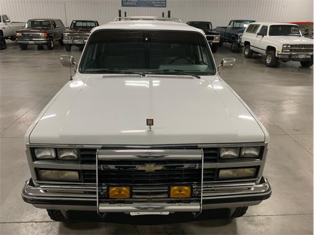 1989 Chevrolet Suburban (CC-1415577) for sale in Holland , Michigan