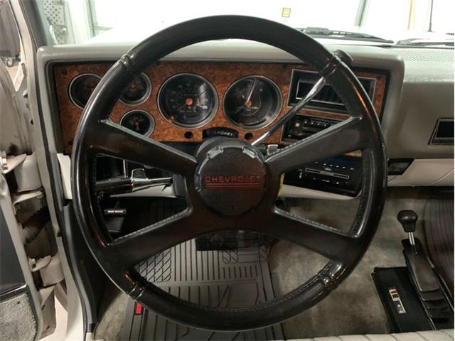 1989 Chevrolet Suburban (CC-1415577) for sale in Holland , Michigan