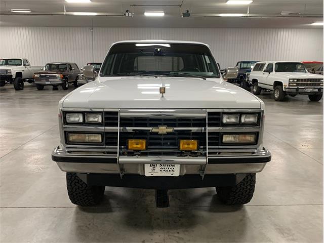 1989 Chevrolet Suburban (CC-1415577) for sale in Holland , Michigan