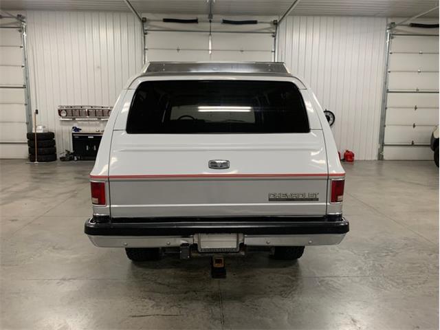 1989 Chevrolet Suburban (CC-1415577) for sale in Holland , Michigan
