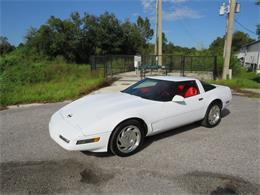 1996 Chevrolet Corvette (CC-1417029) for sale in Apopka, Florida