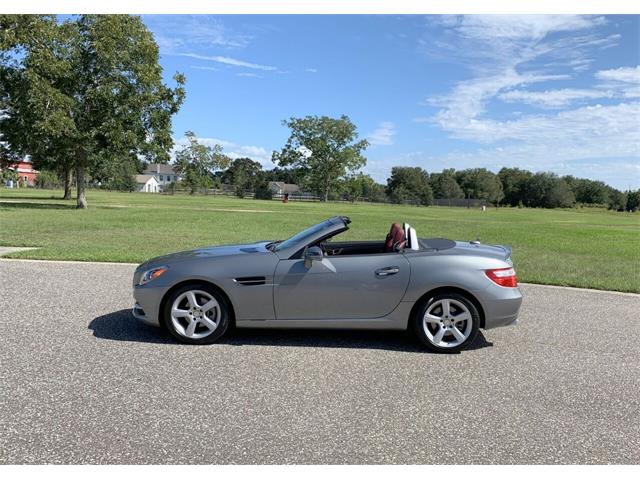 2015 Mercedes-Benz SLK-Class (CC-1417088) for sale in Clearwater, Florida