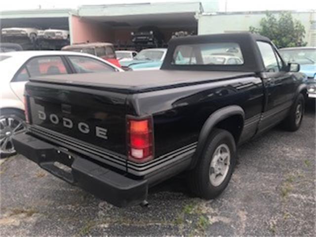 1989 Dodge Dakota (CC-1417572) for sale in Miami, Florida