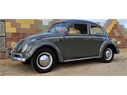 1964 Volkswagen Beetle (CC-1417894) for sale in Cadillac, Michigan