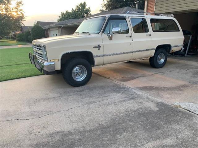1987 Chevrolet Suburban (CC-1418505) for sale in Cadillac, Michigan