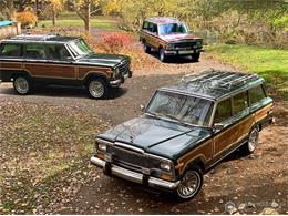 1985 Jeep Grand Wagoneer (CC-1418697) for sale in Bemus a Point , New York