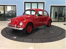 1967 Volkswagen Beetle (CC-1418827) for sale in Palmetto, Florida