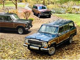 1989 Jeep Grand Wagoneer (CC-1419234) for sale in Bemus Point, New York