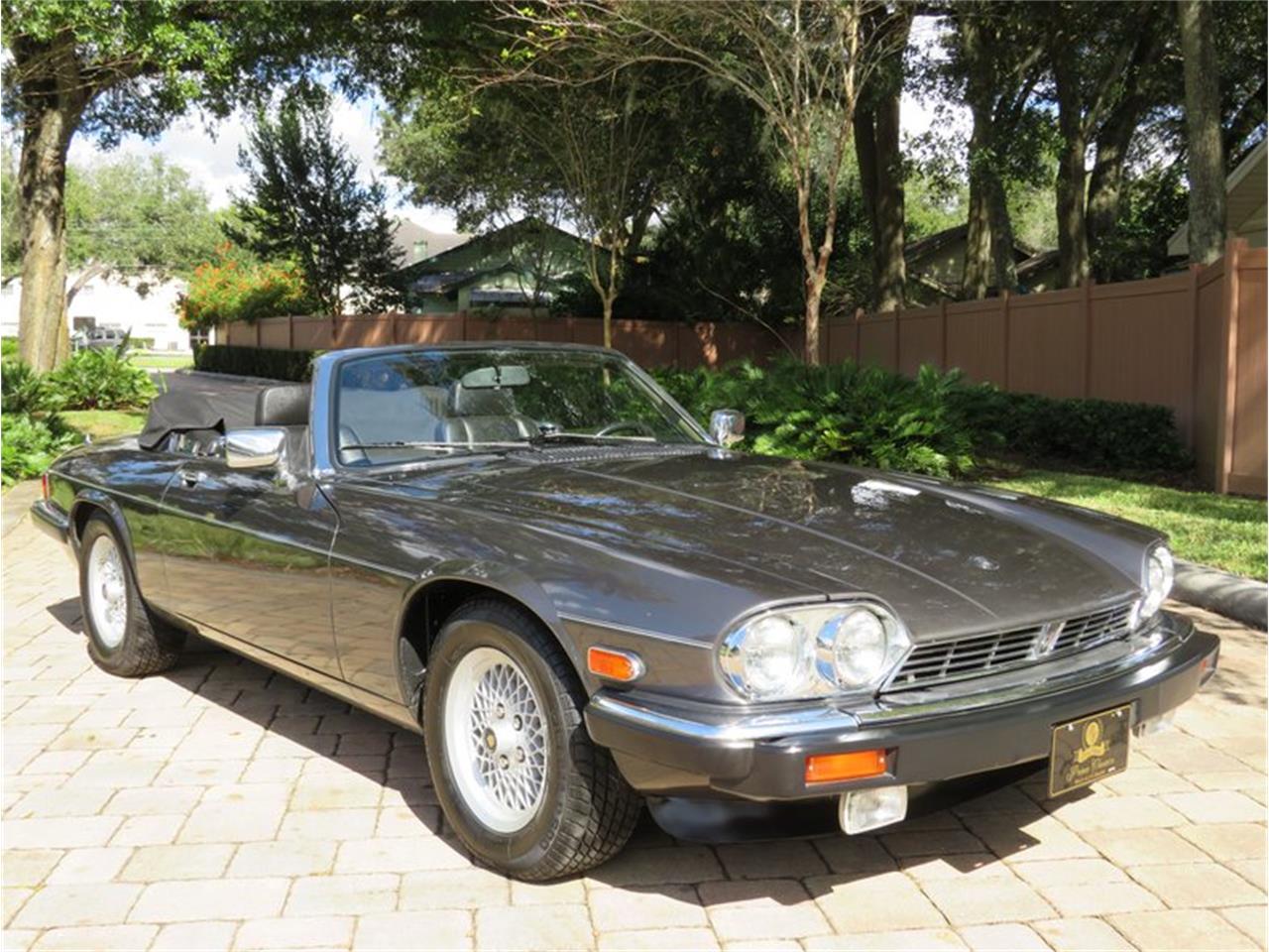 1989 Jaguar XJS (CC-1419896) for sale in Lakeland, Florida