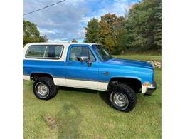 1987 Chevrolet Blazer (CC-1419920) for sale in Cadillac, Michigan