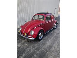 1966 Volkswagen Beetle (CC-1421053) for sale in Punta Gorda, Florida