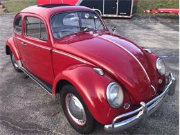 1964 Volkswagen Beetle (CC-1421065) for sale in Punta Gorda, Florida