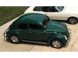 1964 Volkswagen Beetle (CC-1421482) for sale in Pleasant Prairie, Wisconsin