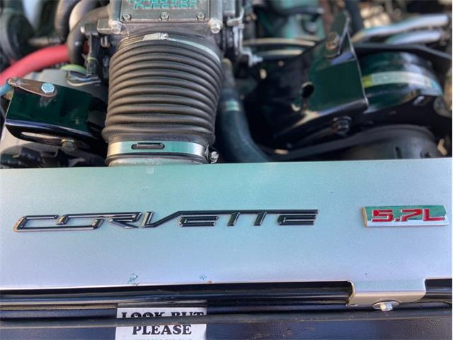 1985 Chevrolet S10 (CC-1422112) for sale in Clearwater, Florida