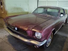 1966 Ford Mustang (CC-1422495) for sale in Miami, Florida