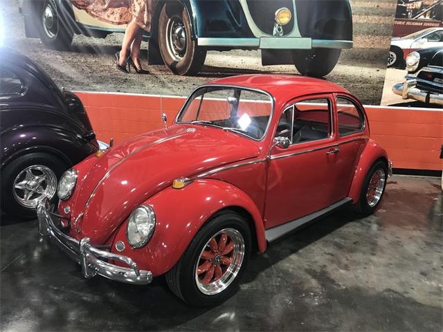 1966 Volkswagen Beetle (CC-1420261) for sale in Henderson, Nevada