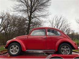 1966 Volkswagen Beetle (CC-1423130) for sale in Cadillac, Michigan