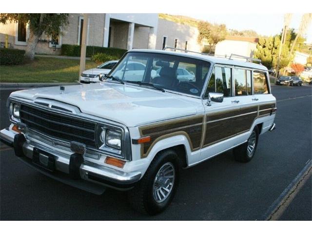 1989 Jeep Grand Wagoneer (CC-1423142) for sale in Cadillac, Michigan