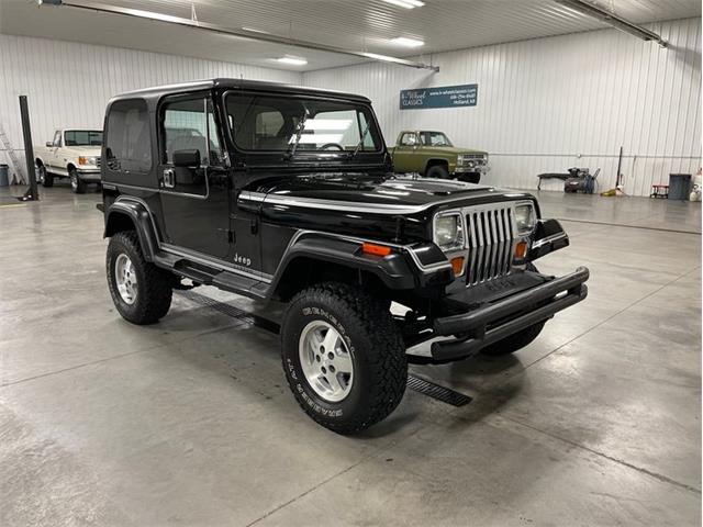 1990 Jeep Wrangler (CC-1424740) for sale in Holland , Michigan