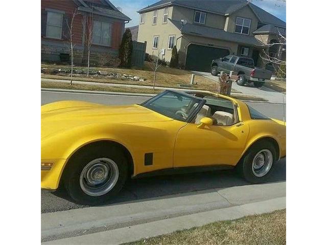 1981 Chevrolet Corvette (CC-1424910) for sale in Cadillac, Michigan