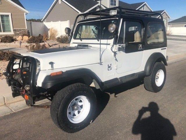 1991 Jeep Wrangler (CC-1425142) for sale in Maple Lake, Minnesota