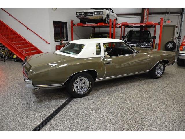 1973 Chevrolet Monte Carlo (CC-1425670) for sale in Plainfield, Illinois