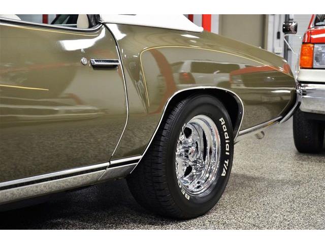 1973 Chevrolet Monte Carlo (CC-1425670) for sale in Plainfield, Illinois