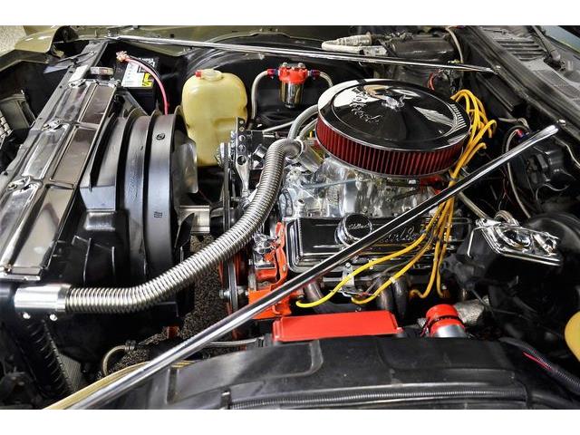 1973 Chevrolet Monte Carlo (CC-1425670) for sale in Plainfield, Illinois