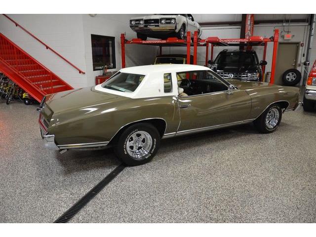 1973 Chevrolet Monte Carlo (CC-1425670) for sale in Plainfield, Illinois