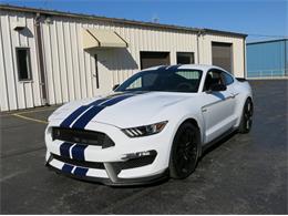 2016 Shelby GT350 (CC-1420571) for sale in Manitowoc, Wisconsin