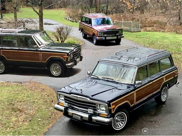 1987 Jeep Grand Wagoneer (CC-1425748) for sale in Bemus Point, New York
