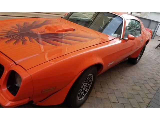 1974 Pontiac Firebird (CC-1426186) for sale in Cadillac, Michigan