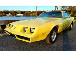 1979 Pontiac Firebird (CC-1427436) for sale in Cadillac, Michigan