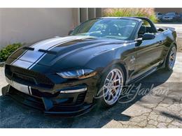 2019 Ford Shelby GT500  (CC-1428814) for sale in Scottsdale, Arizona